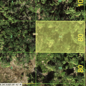 3255 Lisa St in Port Charlotte, Florida 33948