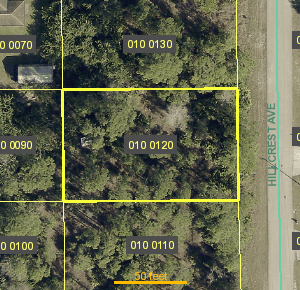920 Hillcrest Ave in Lehigh Acres, Florida 33974